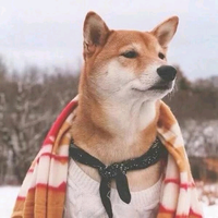 骑不快的沁梦头像