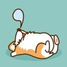 青柠i的个人资料头像