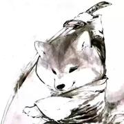 YNestA的个人资料头像