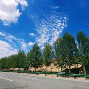 runman的个人资料头像