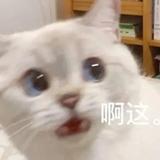 黄瓜丝拌青椒头像