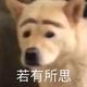 愿每个人都被生活温柔以待 · 星瑞车主·车龄3年头像