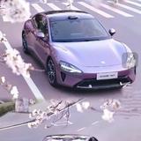 上进的扑克DkQ头像