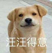 幼稚十一的个人资料头像