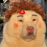 用户6995755457138头像