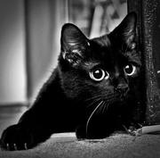 环球时事的个人资料头像