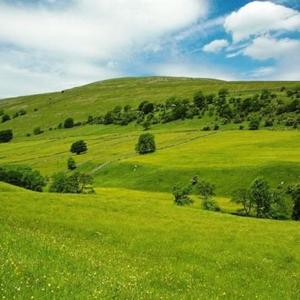 受到分享音乐汇头像