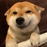 小曾太难了头像