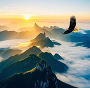 零下几度的火锅的个人资料头像