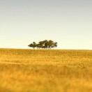 珊瑚海本尊的个人资料头像