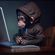 得得DD的个人资料头像