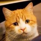 Retard的个人资料头像