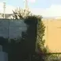 请君三尺剑的个人资料头像