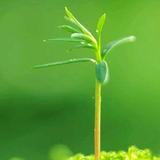 牛老师初中数化头像