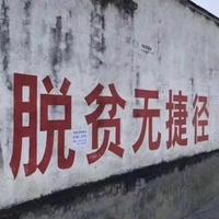 梦想在这里出发头像