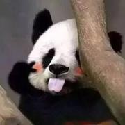 今天不加班i的个人资料头像