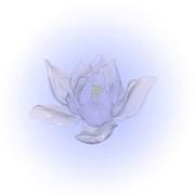 Augety963的个人资料头像