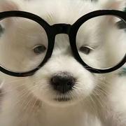 AI教育视野的个人资料头像