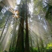 程序员洪志道的个人资料头像