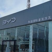 献县朗际星比亚迪海洋头像