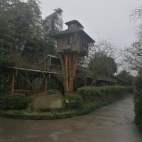 嗨你好15816头像