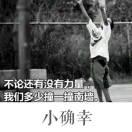 wang蛋蛋的个人资料头像