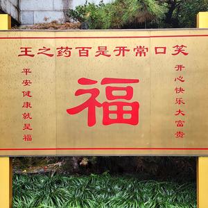 愚牛弹琴头像