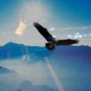 Goby的个人资料头像