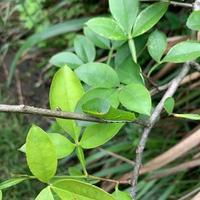 熊猫影视o.o头像