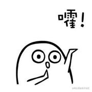 鸿运当头呀的个人资料头像