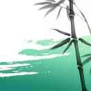 华南的个人资料头像