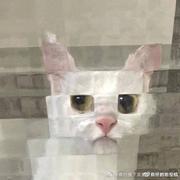 学习中的owl的个人资料头像