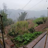 快乐新民7S6头像