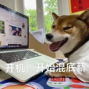 SmellyCat的个人资料头像