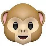 吗喽技术的个人资料头像