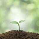 葱头在掘金的个人资料头像