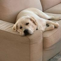 马爹利蓝带xoxoᯤ⁵ᴳ头像