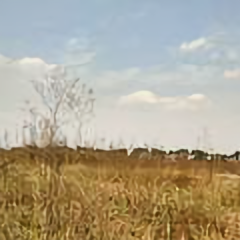 孙昆皇头像