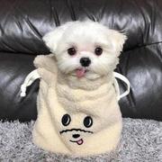 AmoZo的个人资料头像