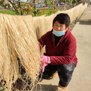 香村一婶头像