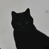 需要磨练的年轻教练头像