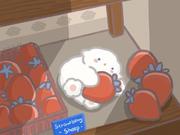 Zora的个人资料头像