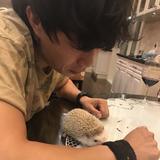 春子L头像