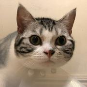 upanddown的个人资料头像