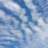 众志成城天空头像