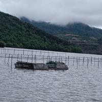 活泼钢琴FAe头像