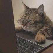 三月花的个人资料头像