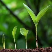 Gardener172的个人资料头像