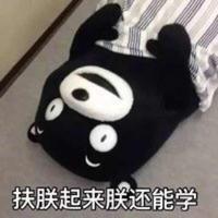 Krito245头像
