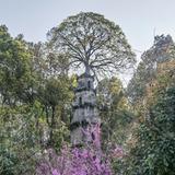 青锋剑江山无限头像